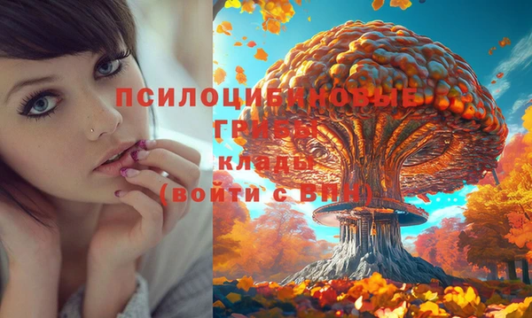 дурь Михайловка