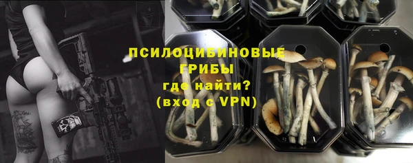 дурь Михайловка