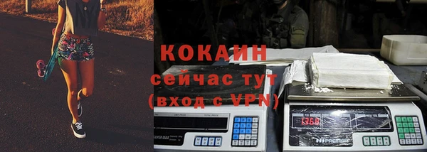 шишки Михайлов