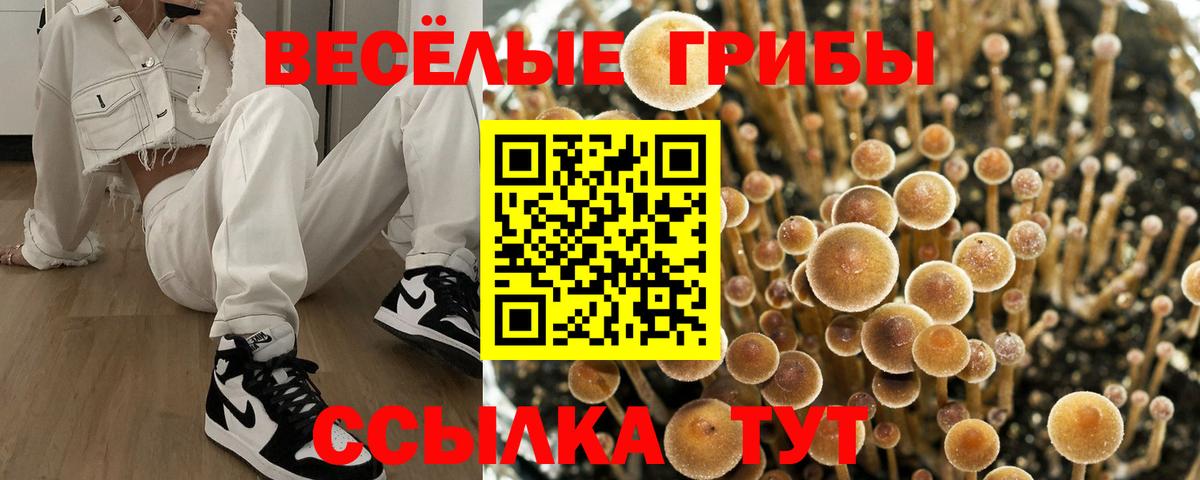 Октябрьский  Галлюциногенные грибы Psilocybe  Вход с VPN 
